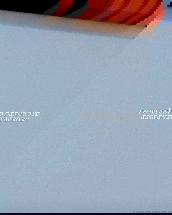 tuliprivet tuliprivet archive image