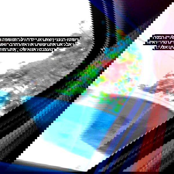 tuliprivet tuliprivet archive image