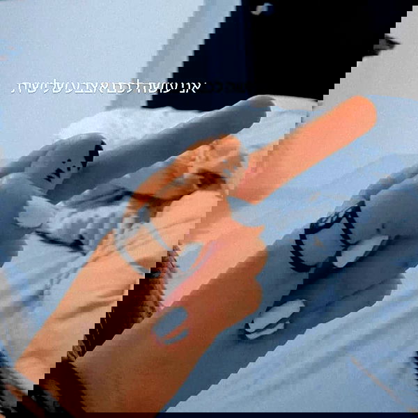 tuliprivet tuliprivet archive image