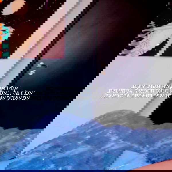 tuliprivet tuliprivet archive image