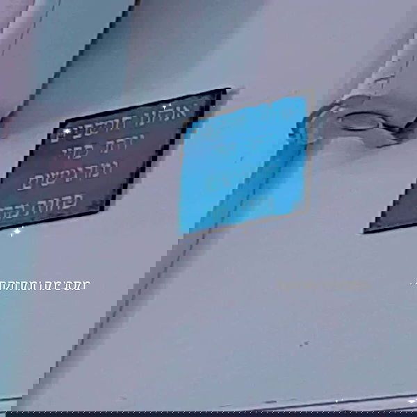 tuliprivet tuliprivet archive image