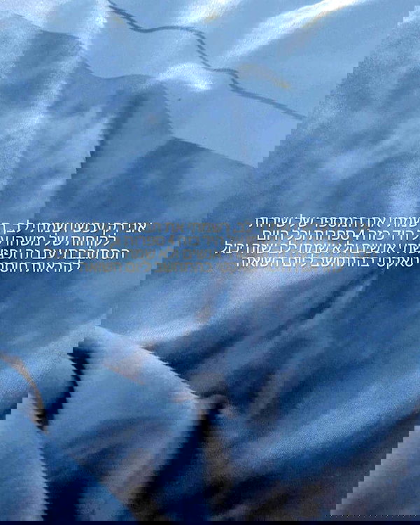 tuliprivet tuliprivet archive image