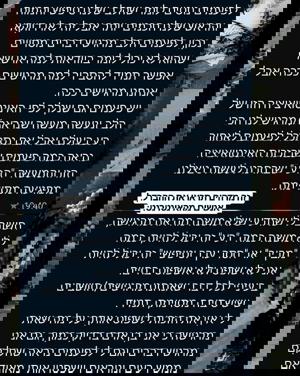 tuliprivet tuliprivet archive image