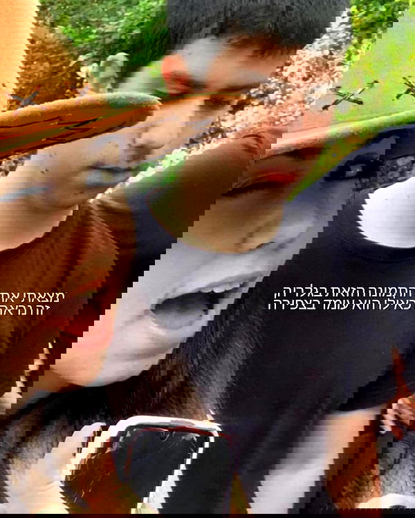 tuliprivet tuliprivet archive image