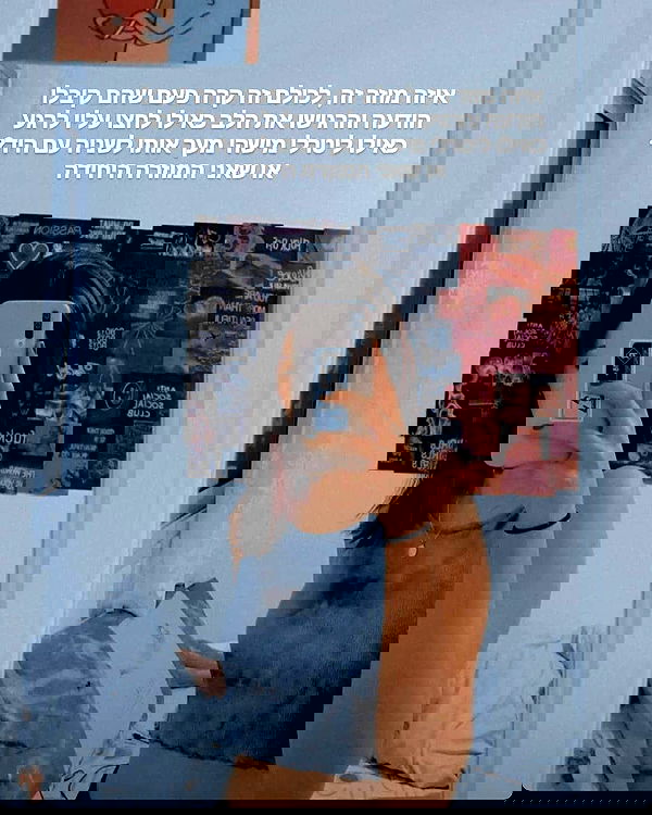 tuliprivet tuliprivet archive image