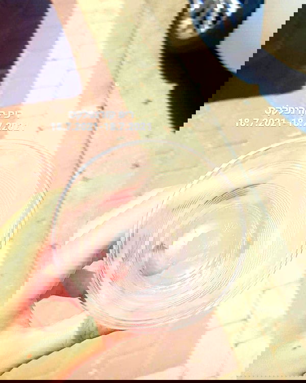 tuliprivet tuliprivet archive image