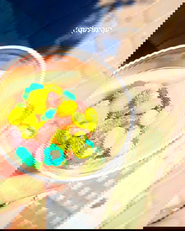 tuliprivet tuliprivet archive image