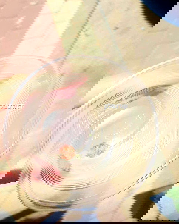 tuliprivet tuliprivet archive image