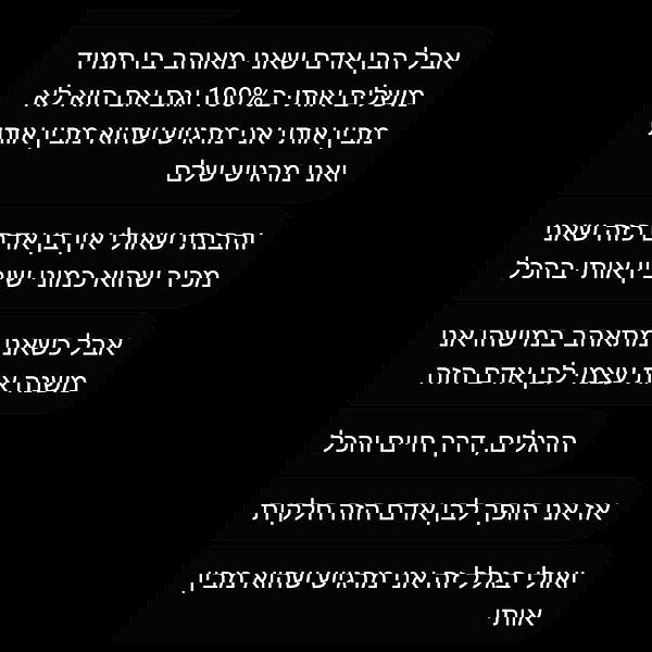 tuliprivet tuliprivet archive image