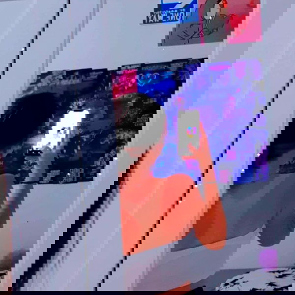 tuliprivet tuliprivet archive image