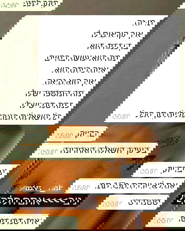 tuliprivet tuliprivet archive image