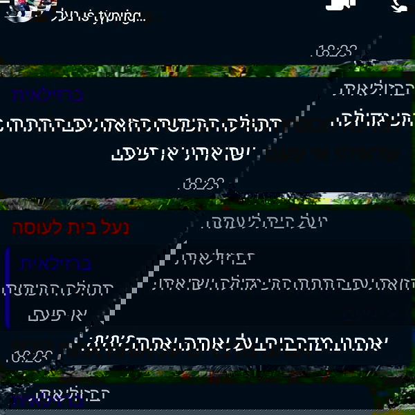 tuliprivet tuliprivet archive image