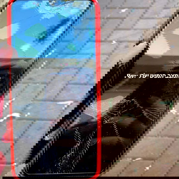 tuliprivet tuliprivet archive image