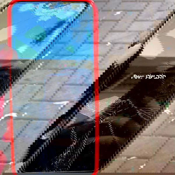 tuliprivet tuliprivet archive image