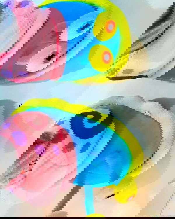 tuliprivet tuliprivet archive image