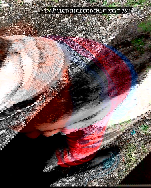 tuliprivet tuliprivet archive image