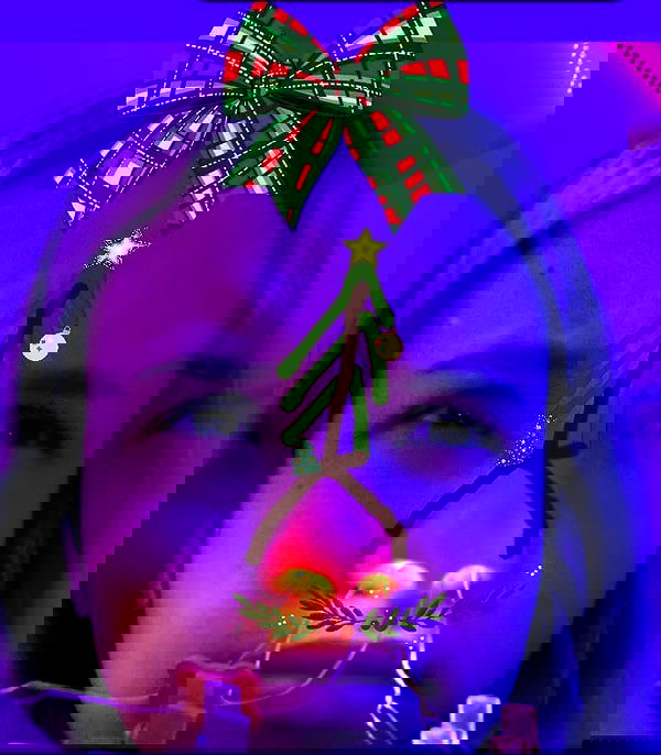 tuliprivet tuliprivet archive image