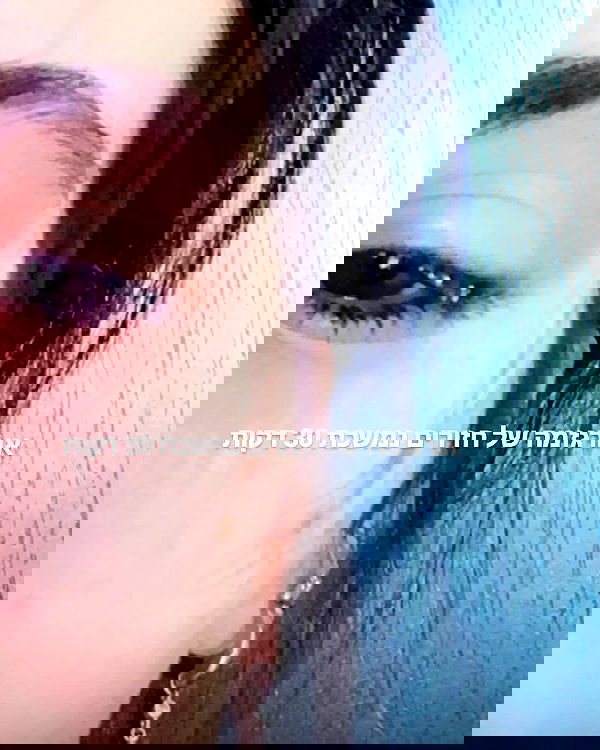 tuliprivet tuliprivet archive image