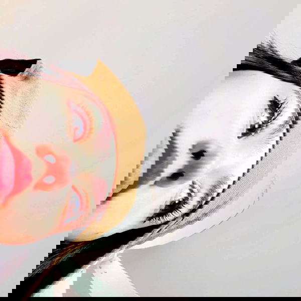 tuliprivet tuliprivet archive image