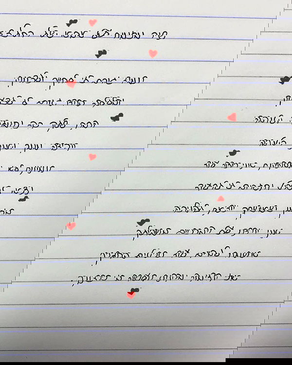 tuliprivet tuliprivet archive image