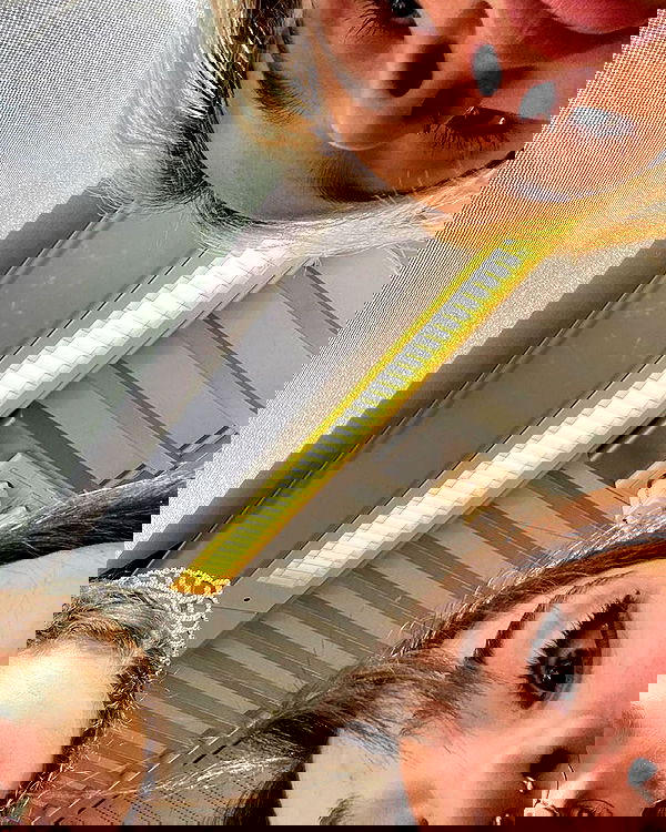 tuliprivet tuliprivet archive image