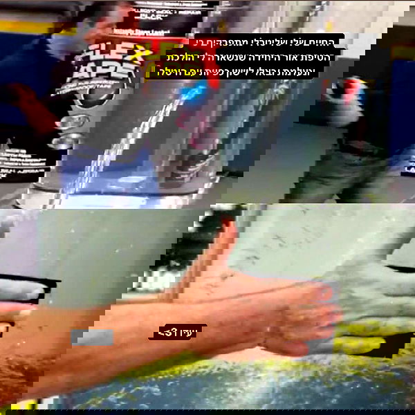 tuliprivet tuliprivet archive image