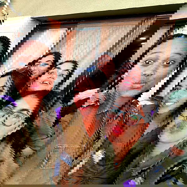 tuliprivet tuliprivet archive image