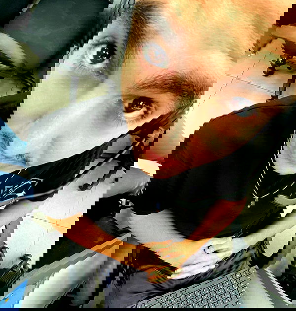 tuliprivet tuliprivet archive image