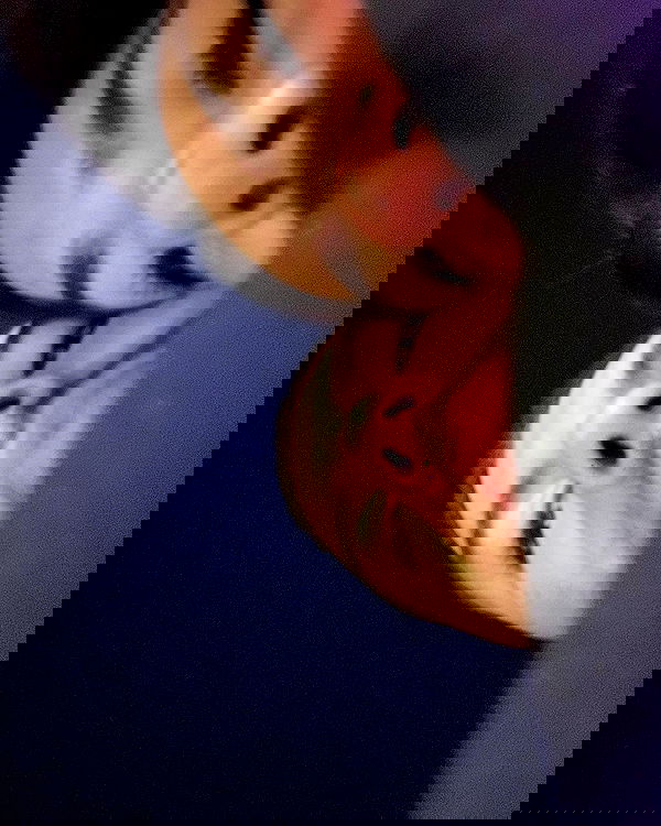 tuliprivet tuliprivet archive image