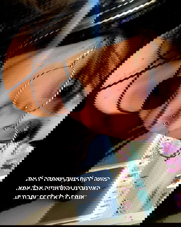 tuliprivet tuliprivet archive image