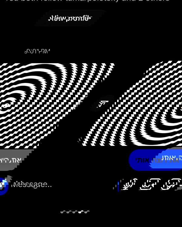 tuliprivet tuliprivet archive image