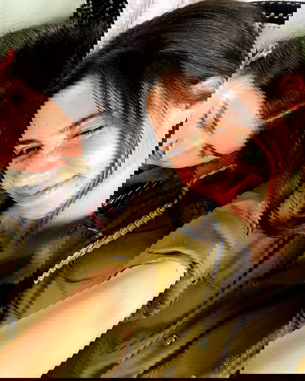 tuliprivet tuliprivet archive image