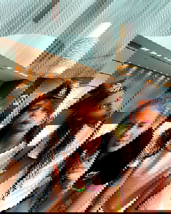 tuliprivet tuliprivet archive image