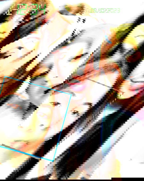 tuliprivet tuliprivet archive image