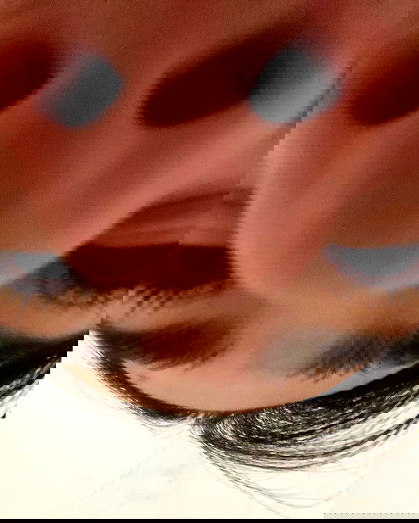 tuliprivet tuliprivet archive image