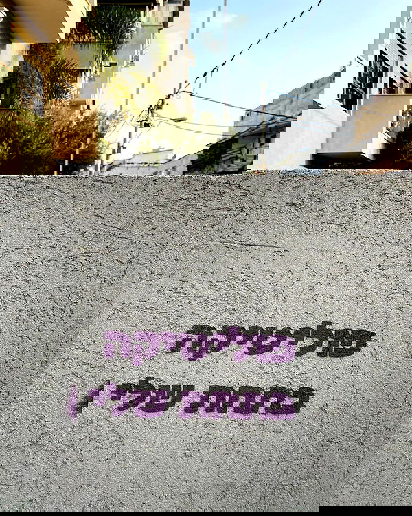 tuliprivet tuliprivet archive image