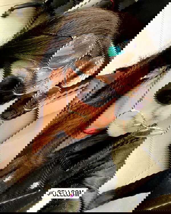 tuliprivet tuliprivet archive image