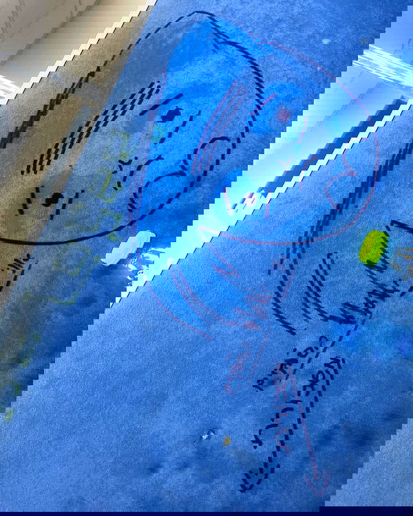 tuliprivet tuliprivet archive image