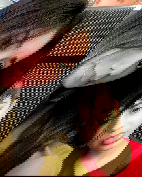 tuliprivet tuliprivet archive image