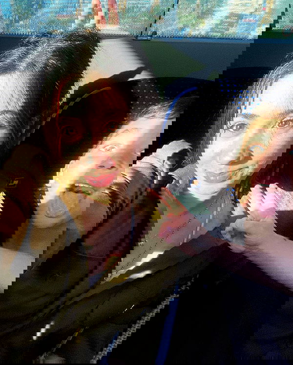 tuliprivet tuliprivet archive image