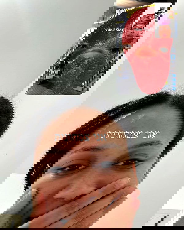 tuliprivet tuliprivet archive image