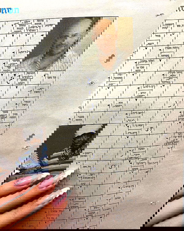 tuliprivet tuliprivet archive image