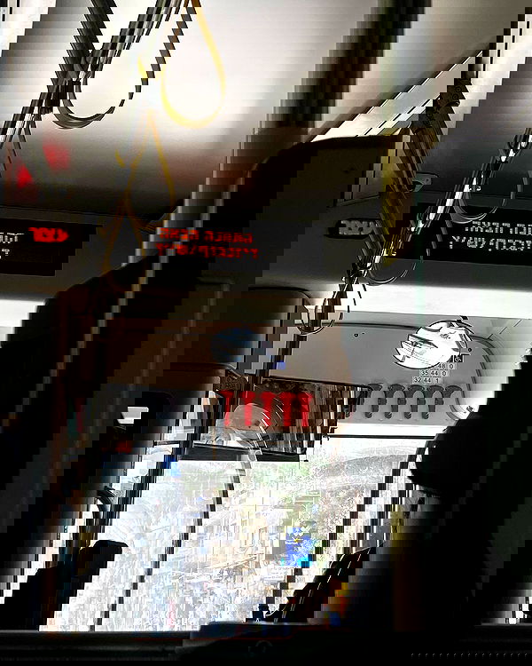 tuliprivet tuliprivet archive image