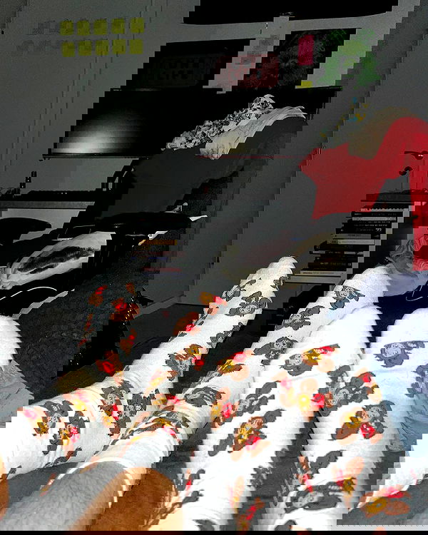 tuliprivet tuliprivet archive image