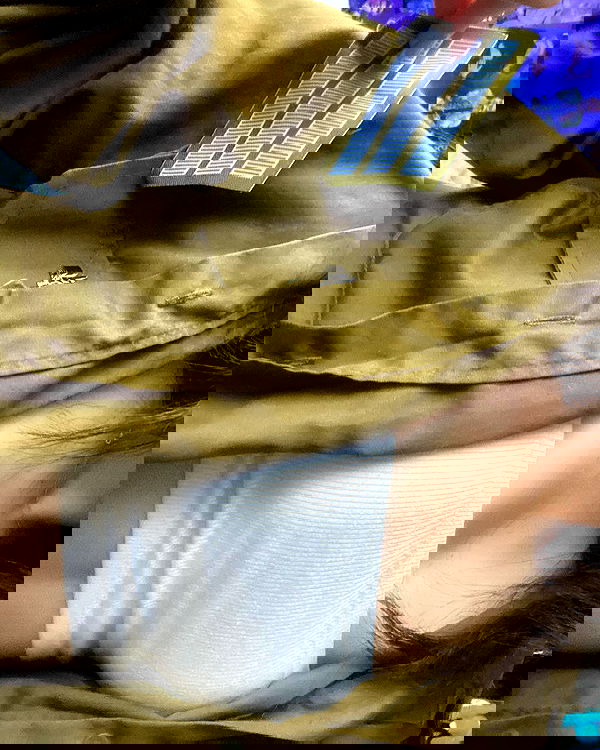 tuliprivet tuliprivet archive image