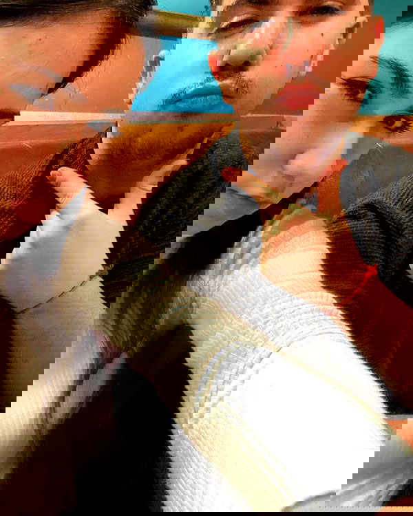 tuliprivet tuliprivet archive image