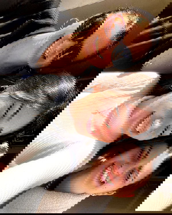 tuliprivet tuliprivet archive image