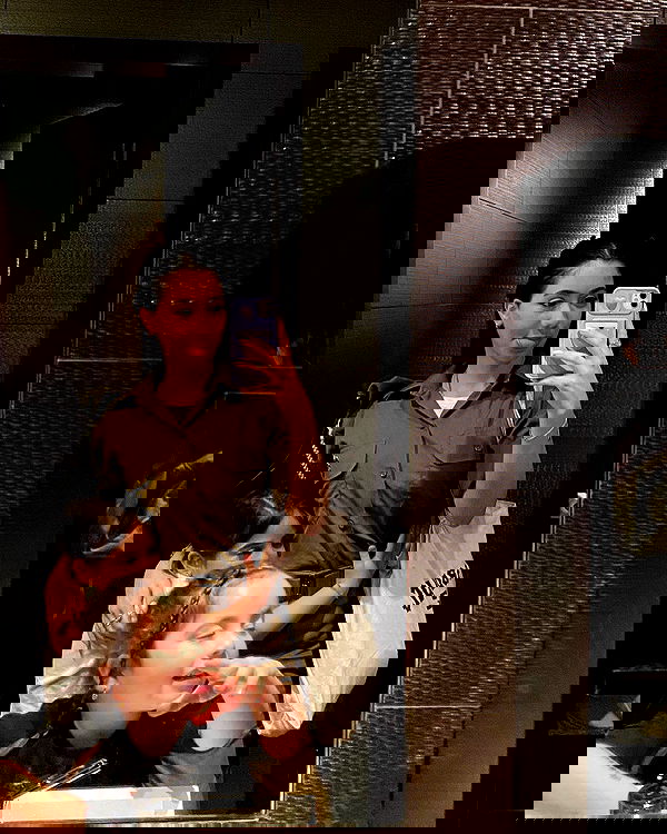 tuliprivet tuliprivet archive image