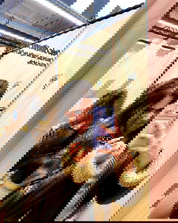 tuliprivet tuliprivet archive image