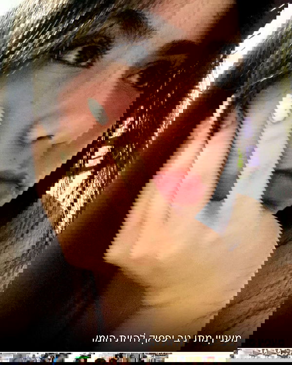 tuliprivet tuliprivet archive image